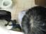 IMG_0295 * 1600 x 1200 * (329KB)