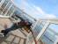 IMG_0552 * 1600 x 1200 * (488KB)