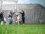 IMG_0616 * 1600 x 1200 * (680KB)