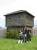 IMG_0617 * 1200 x 1600 * (553KB)