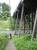 IMG_0627 * 1200 x 1600 * (729KB)